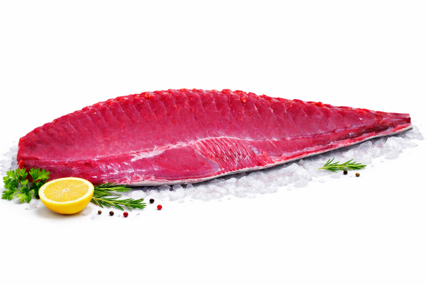 CÁ NGỪ ĐẠI DƯƠNG TƯƠI FILLET