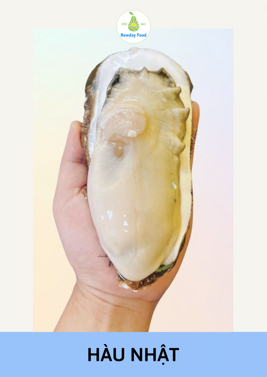 HÀU NHẬT - OYSTER JAPAN